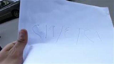 مسيرة بشوارع السيدة زينب لتشجيع المواطنين على التصويت في الاستفتاء (فيديو)