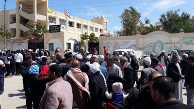 الشيخ زويد تتحدى الإرهاب وتتصدر الاستفتاء على الدستور (صور)