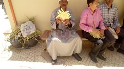 مئات الأقباط يحتفلون بأحد الشعانين بكنائس الوادي الجديد (صور)