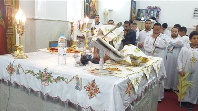 بالزغاريد.. أقباط أسيوط يحتفلون بعيد السعف (فيديو وصور)