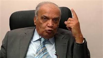 فرحات: هناك مادتان في الإعلان الدستوري أثاروا حفيظة التيار السلفي