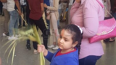 مسيحيو الأقصر يحتفلون يأحد الشعانين (صور)