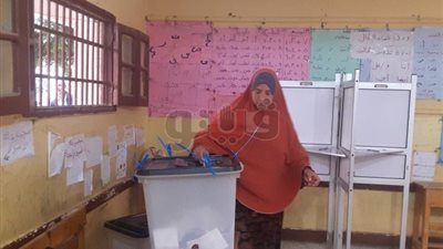 استبعاد أمين لجنة يوجه الناخبين للتصويت بـ