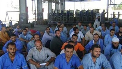 القوى العاملة: إنهاء إضراب عمال «وطن باك للكرتون» بالمنوفية