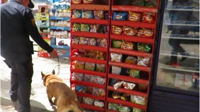 ضبط 63 تاجر مخدرات في حملات أمنية بمحيط الكافيهات والأكشاك