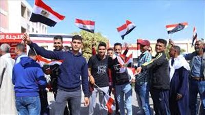 البرلمان الأوروبي: لم نرصد عيوبا في الاستفتاء على تعديلات الدستور (فيديو)