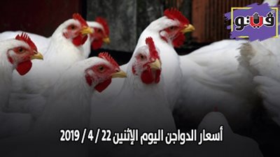 أسعار الدواجن اليوم الإثنين 22 / 4 / 2019