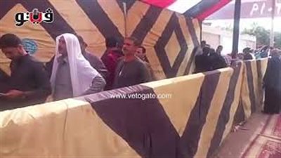 تزايد أعداد الناخبين أمام لجان التبين (فيديو)