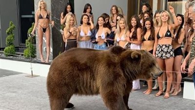 ملك إنستجرام 