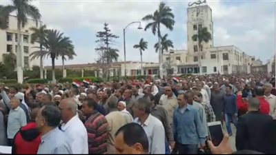 إقبال كثيف لعمال شركات قطاع الأعمال للتصويت في الاستفتاء