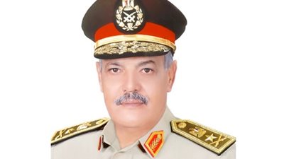 عبد المنعم ألتراس يؤكد أهمية الاستفادة من خبراء وعلماء مصر بالخارج