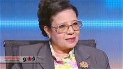 العنترى: سقوط الإخوان أتاح فرصة الحصول على قرض النقد الدولى