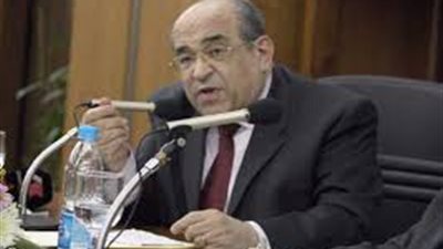 مصطفى الفقي: تمثيل الأقباط المنتخبين بــ