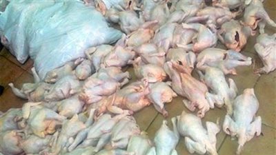 ضبط 400 فرخة مجمدة «منتهية الصلاحية» بقنا