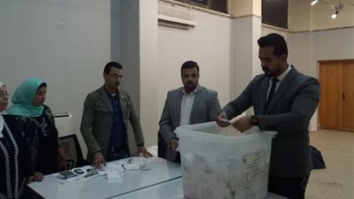 بدء فرز أصوات الاستفتاء على تعديل الدستور باللجان الفرعية (فيديو وصور)