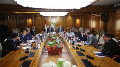 عبدالغفار: التعليم الإلكتروني يخفف الضغط على الجامعات التقليدية