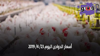 أسعار الدواجن اليوم 23/ 4/ 2019