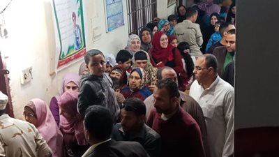 تزايد الإقبال على لجان الاستفتاء قبل غلق باب التصويت بالمنصورة (صور)