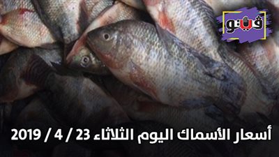 أسعار الأسماك اليوم الثلاثاء 23 / 4 / 2019
