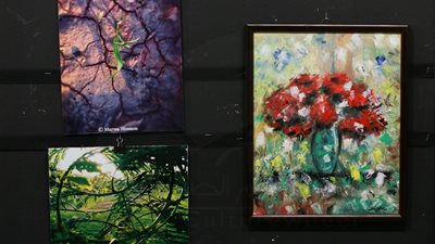 الألوان المبهجة تسيطر على معرض 