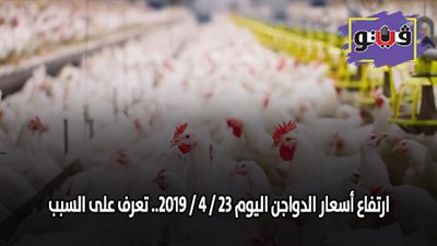 ارتفاع أسعار الدواجن اليوم 23 / 4 / 2019.. تعرف على السبب