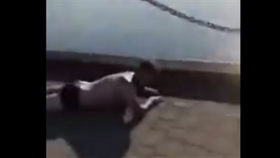 نهاية مروعة لصبي حاول استعراض مهاراته بالقفز في البحر (فيديو)