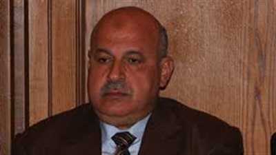 بدء التحقيق مع أحمد سليمان وناجي دربالة لظهورهما في اعتصام رابعة