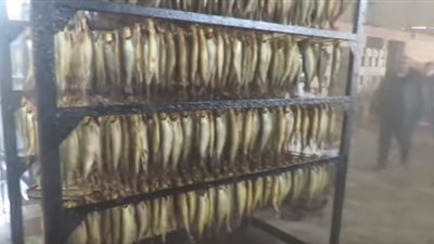 «مباحث التموين» توجه ضرباتها لمافيا الأغذية قبل شم النسيم.. ضبط 105 أطنان رنجة فاسدة بالغربية.. مصادرة 31 طن أسماك غير صالحة بالقليوبية و37 طن فسيخ بالجيزة.. ومصدر: الحملات مستمرة (فيديو)