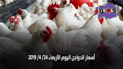 أسعار الدواجن اليوم الأربعاء 24/ 4/ 2019