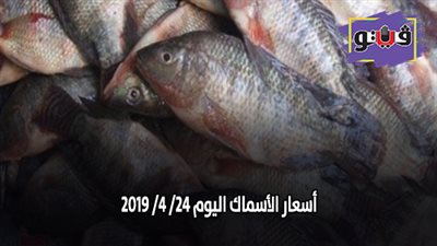 أسعار الأسماك اليوم 24/ 4/ 2019
