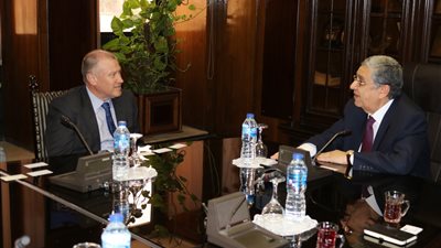 شاكر: مصر تعمل بقوة في اتجاه تعزيز مشروعات الربط الكهربائي