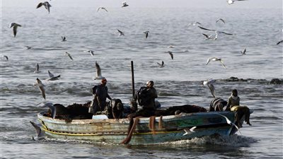 «النقل البحري» تمد مهلة تراخيص الصيد لمدة عام