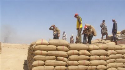 التموين: رصيد مصر من القمح يكفي حتى نهاية نوفمبر المقبل