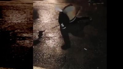 اعتداء فتاة على أخرى بطريقة وحشية (فيديو)