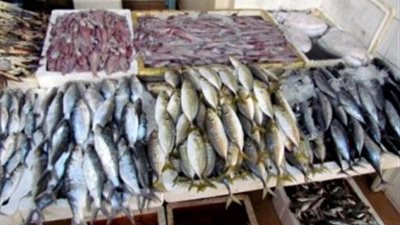 استعدادا لشم النسيم.. «تموين قنا» تشن حملات مكثفة على محال بيع الأسماك