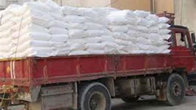 ضبط دقيق ووقود وأسماك ولحوم في حملة أمنية بالبحيرة