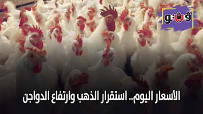 أسعار الدواجن اليوم الخميس 25/ 4/ 2019