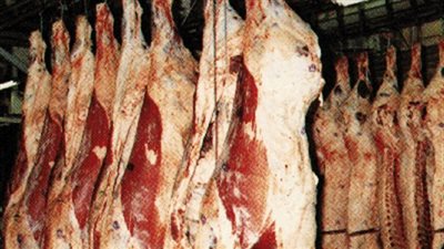 «القصابين»: استقرار أسعار اللحوم بسبب كثرة المعروض