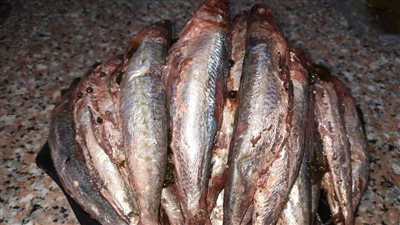 خللى السردين بالمنزل في 4 أيام فقط بأقل التكاليف