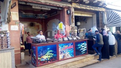 سوق الفسيخ.. قبلة مواطني طنطا لشراء الأسماك المملحة استعدادا لشم النسيم