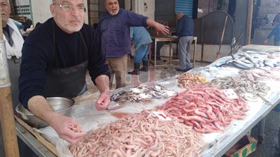 ضبط ٧٧٠ كيلو فسيخ غير صالح للاستهلاك بالإسكندرية (صور)