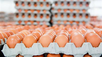 10 % زيادة في الإقبال على شراء البيض في شم النسيم