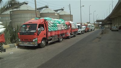 صوامع وشون الدقهلية تستقبل 4022 طن قمح (صور)