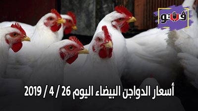 أسعار الدواجن البيضاء اليوم 26 / 4 / 2019