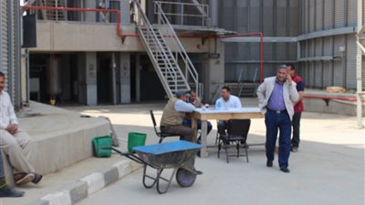 صوامع وشون الشرقية تستقبل 20 ألفا و853 طن قمح