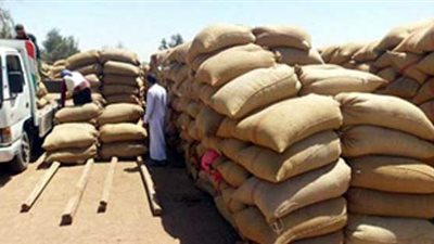 مصدر: عصابة التموين 