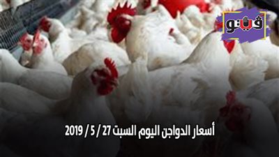 أسعار الدواجن اليوم السبت 27 / 4/ 2019