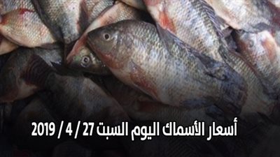 أسعار الأسماك اليوم السبت 27 / 4 / 2019