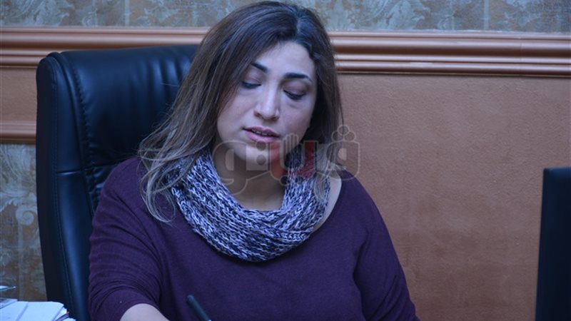 رباب كمال، الإعلامية