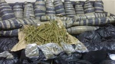 ضبط عاطلين بحوزتهما 10 كيلو بانجو في دمياط